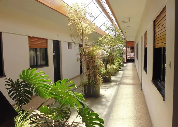 Aimara Apartamentos Y Habitaciones